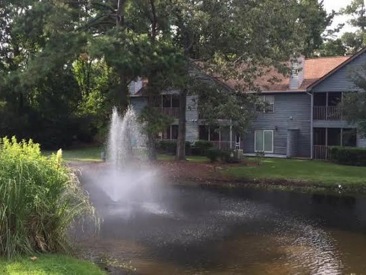 North Charleston photo 6