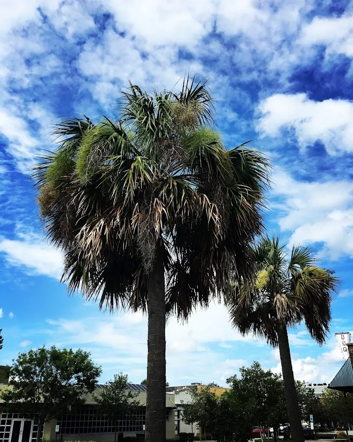 North Charleston photo 8