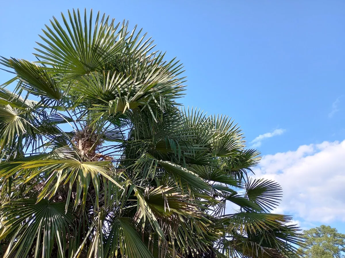 Oakland Industrial Park photo 5