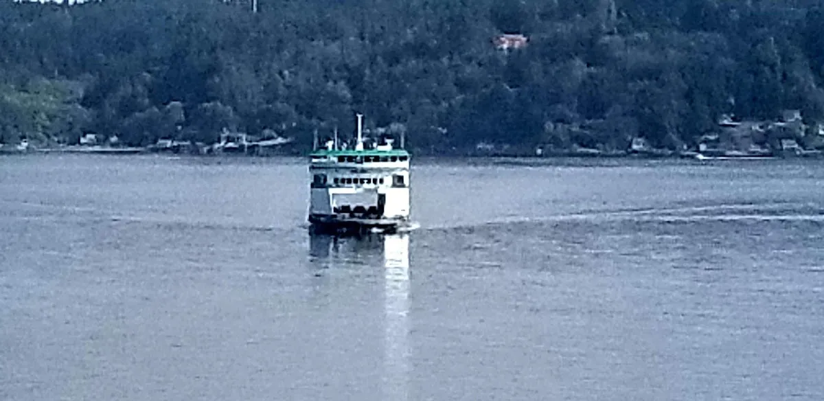 Point Defiance Park photo 7