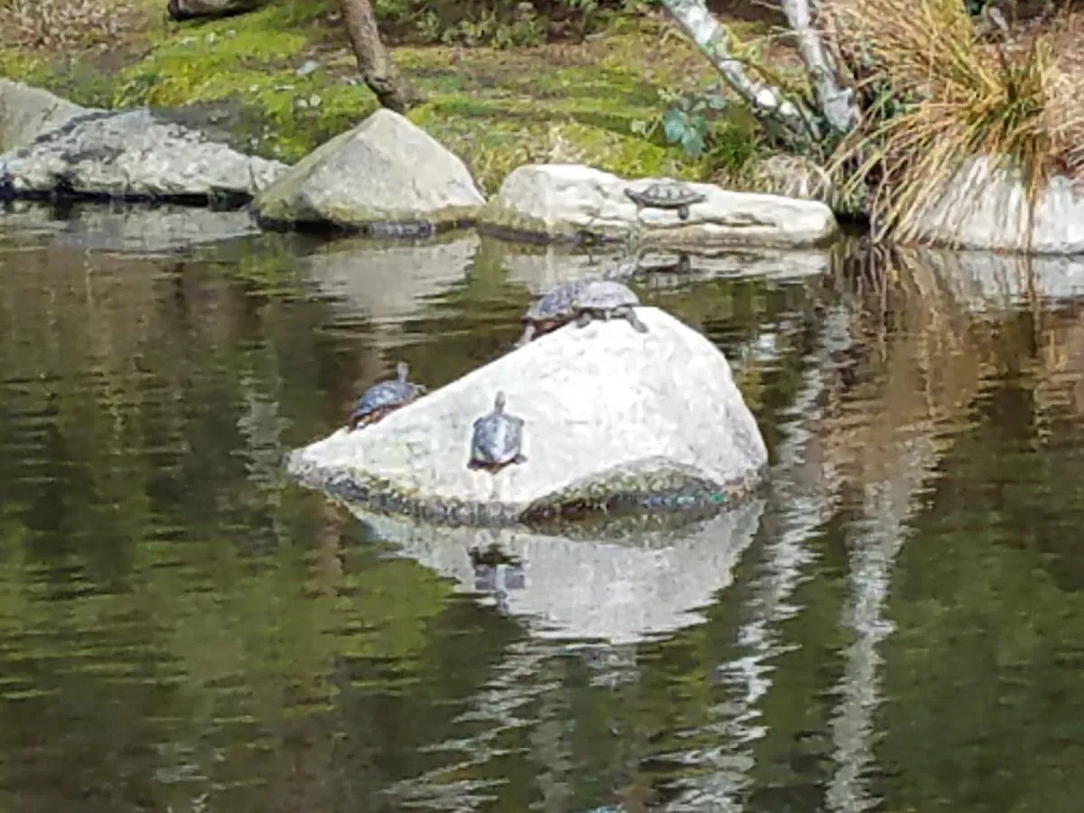 Point Defiance Park photo 8