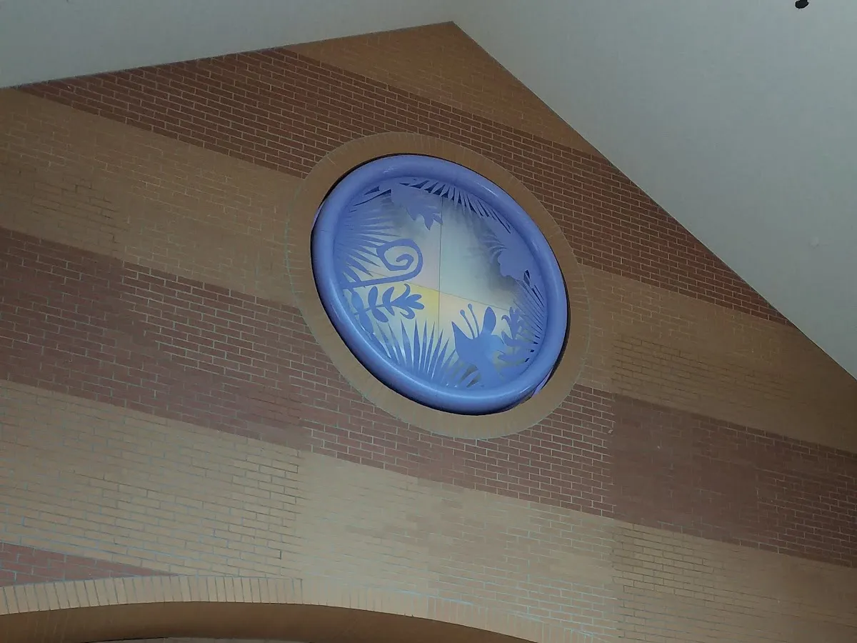 Rainbow Shops photo 8