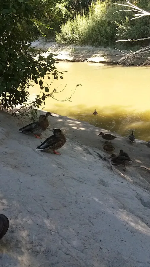 Sacajawea Park photo 3