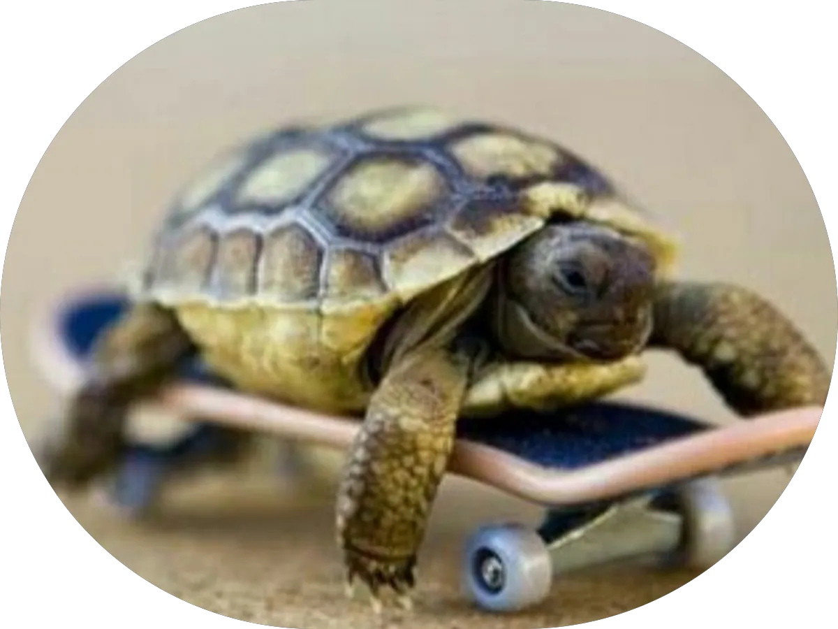 Sacajawea Park photo 7