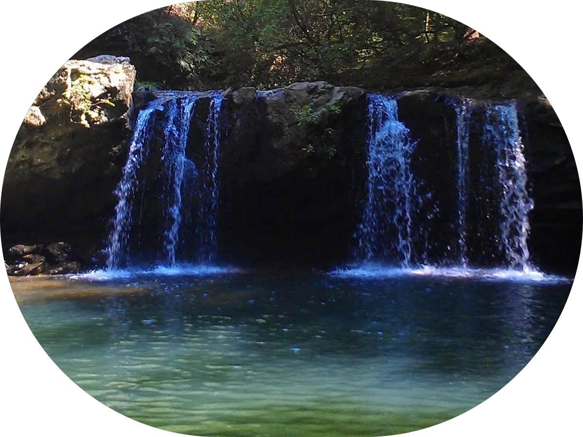 Southern Oak Dental Greenville photo 4