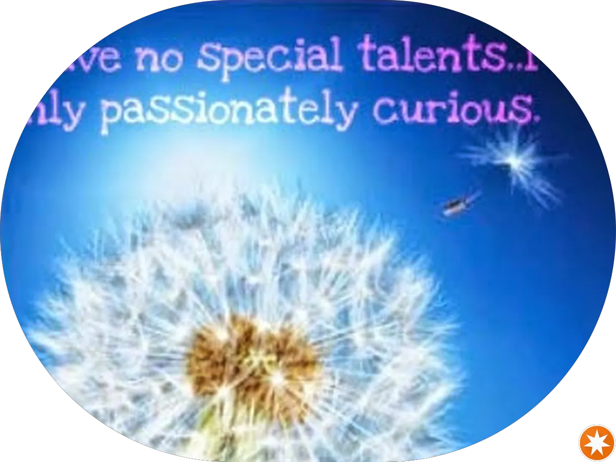 Veterans United Home Loans Amphitheater at Virginia Beach photo 7