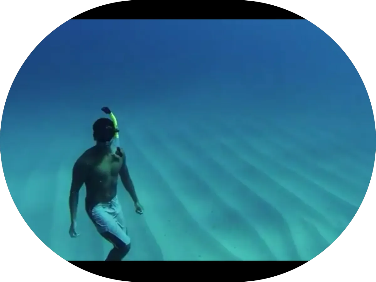 Cannabis Law Group - Photo 5