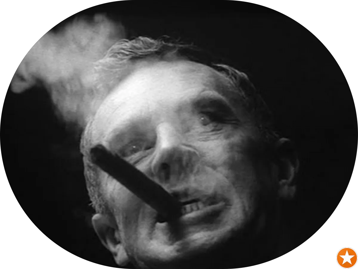 Cannabis Law - Photo 6