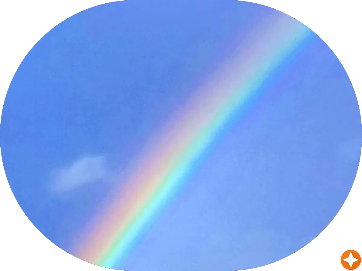 Delaware Cannabis Advocacy Network - Photo 5