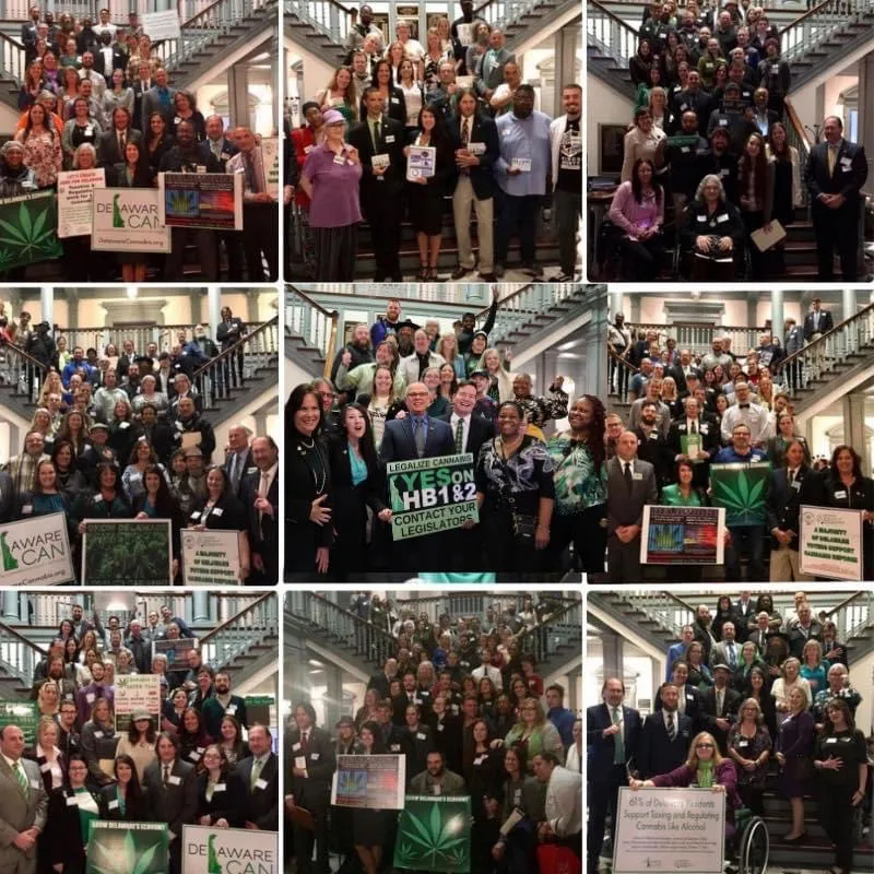 Delaware Cannabis Advocacy Network