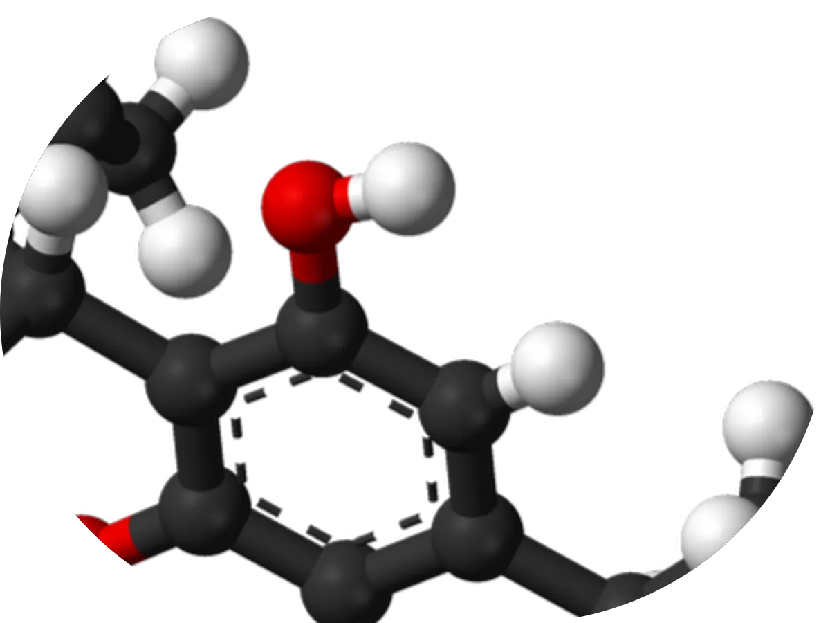 Howard Law Group | Cannabis Industry Lawyer - Photo 5
