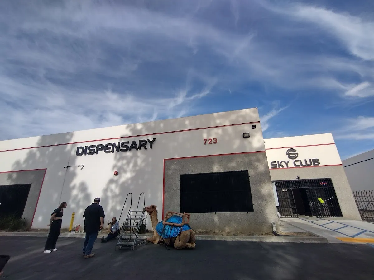 International Cannabis Advocate Network - Photo 2