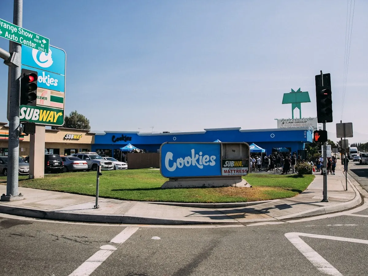 International Cannabis Advocate Network - Photo 3