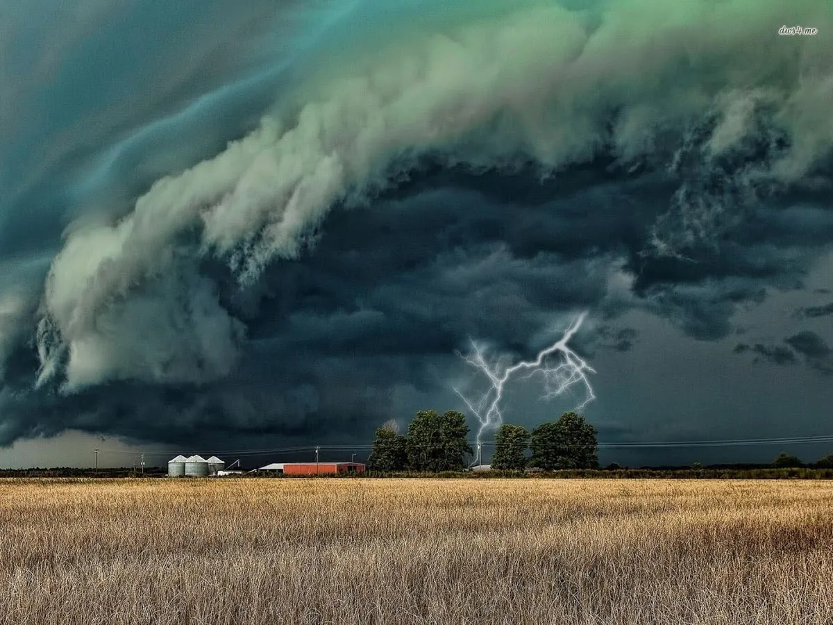 Mehler Cannabis Law - Photo 6