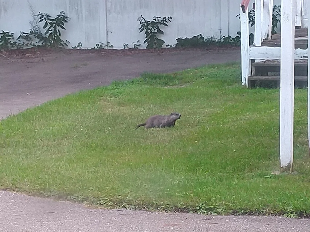 Michigan Cannabis Lawyers - Photo 2