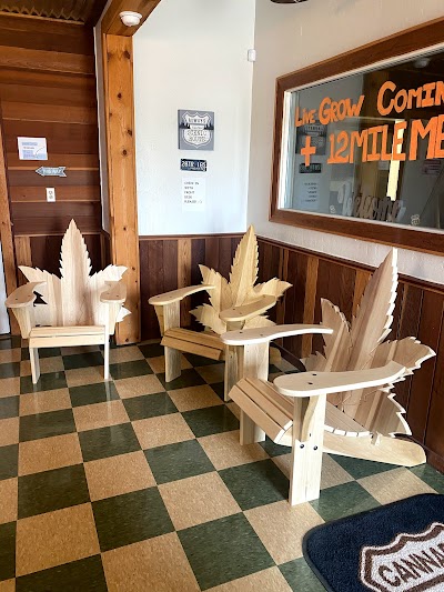 312 Cannabis Dispensary