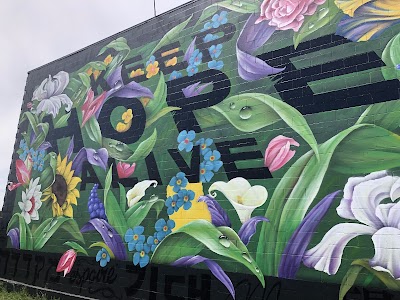 7 Stars Holistic Healing Center