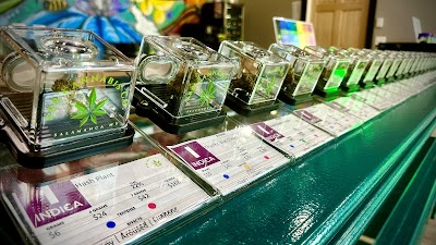 888 Cannabis Company