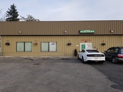 A Greener Today Marijuana - Walla Walla