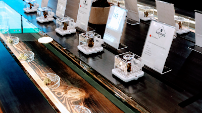 A Little Bud Cannabis White Rock - Same Day Weed Delivery