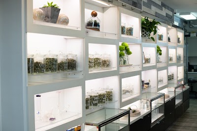 Alaska Cannabis Exchange