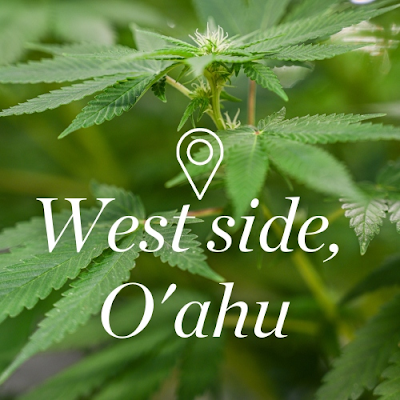 Aloha Green Apothecary - Ko Olina