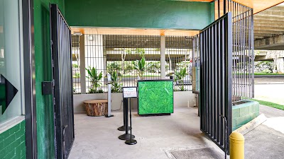 Aloha Green Herb House - Airport