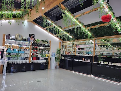 Alter Native - Hollywood