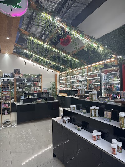 Alter Native - Hollywood