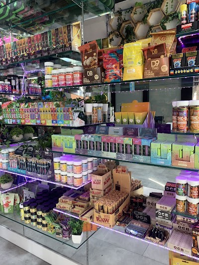 Alter Native - Las Olas