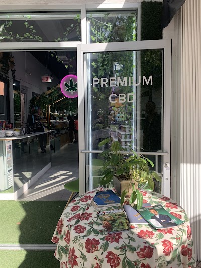 Alter Native - Las Olas