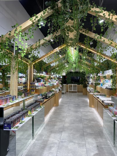 Alter Native - Las Olas