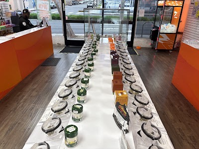 Alternative Herbal Health Services (AHHS ) ZZFlux WeHo photo 2