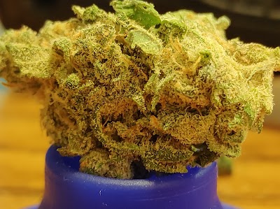 Alternative ReLeaf LLC