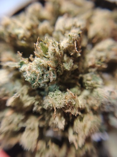 Alternative ReLeaf LLC