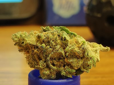 Alternative ReLeaf LLC