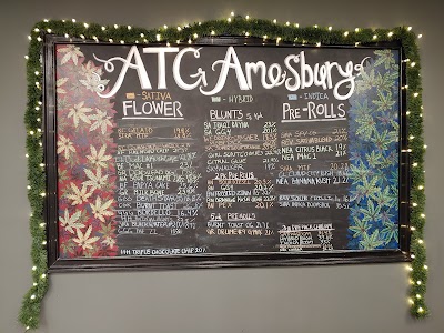 Alternative Therapies Group