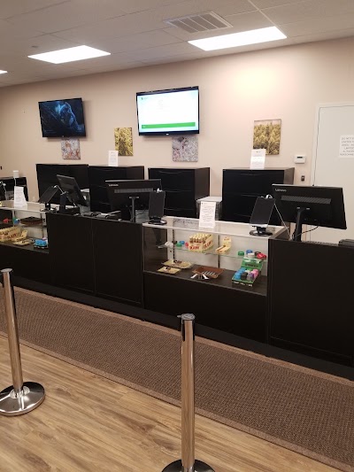 Alternative Therapies Group