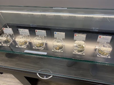 Alternative Therapies Group