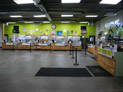 Altitude Organic Cannabis and Medicine