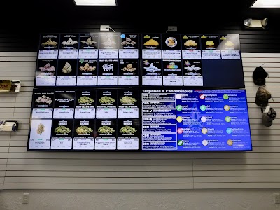 American Cannabis Company