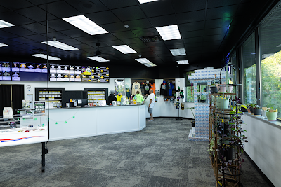 American Cannabis Company