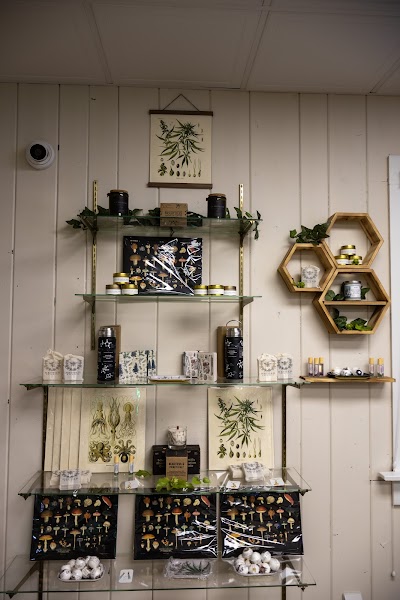 Andover Cannabis LLC