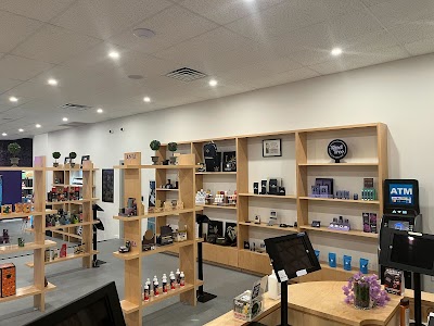 ANJA: Cannabis Dispensary