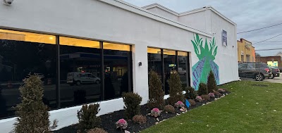 ANJA: Cannabis Dispensary