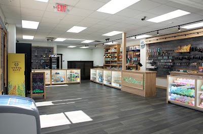 Apotheca Cannabis Dispensary
