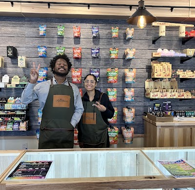 Apotheca Cannabis Dispensary