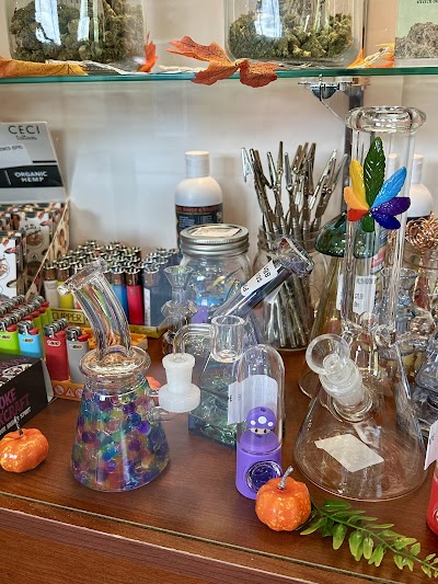 Apotho Therapeutics Dartmouth