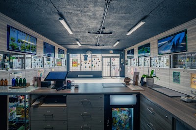 AR Cannabis Store
