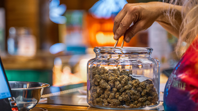 Arizona Natural Concepts Marijuana Dispensary